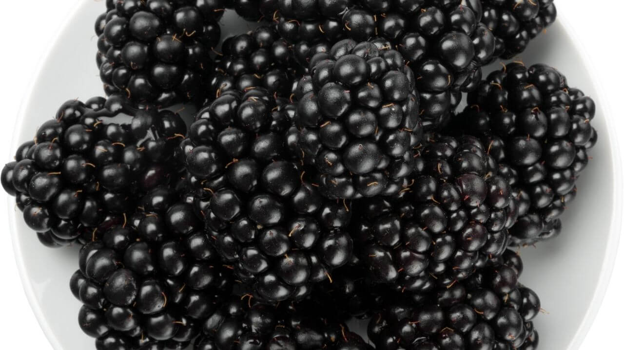 Blackberries: Quick Nutrition Facts You've Gotta Know